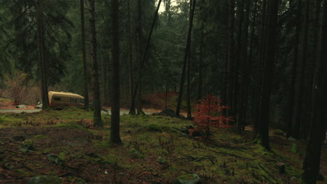 vintage campervan in a misty forest