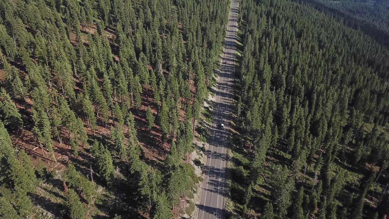 Auto su autostrada in una foresta di pini sempreverdi con vista sul Lago Tahoe sullo sfondo, confine tra California e Nevada, USA, ripresa aerea cinematografica.