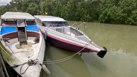 two speedboats are tied to a wooden pier along a calm mangrove river, with lush green foliage and overcast natural daylight. subtle camera movement reveals the tranquil setting