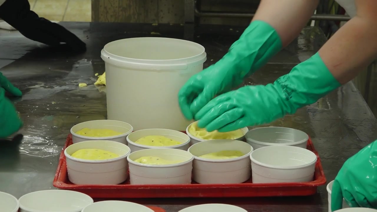 Workers in green gloves portion yellow cheese mixture into white tubs on red trays at a stainless steel table inside a cheese factory.