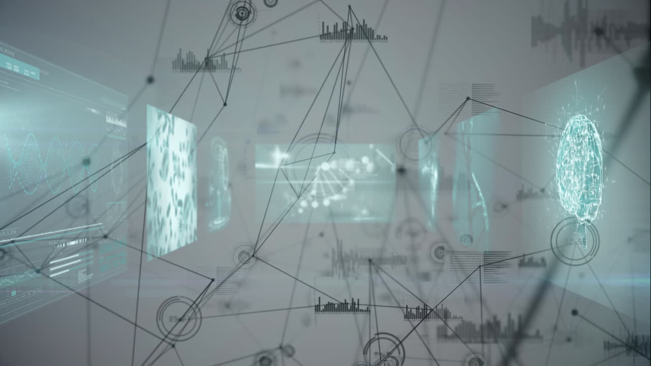 데이터 프로세싱을 통한 연결 네트워크의 애니메이션