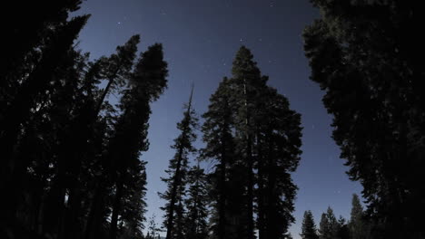 Zeitraffer-Von-Sternenspuren-Wolken-Und-Vollmond,-Der-Durch-Einen-Wald-Am-Jackson-Wiesen-Stausee-Aufsteigt