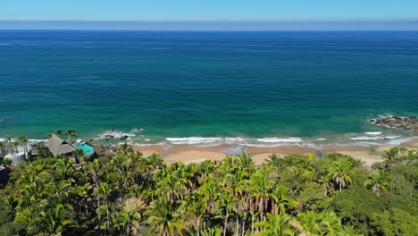 Drone-flying-over-palm-trees-at-hidden-beach-in-Mexico