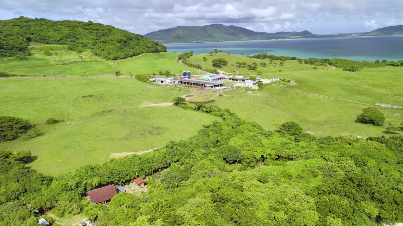 美しい湾を背景に、鬱蒼とした熱帯林と農業用建物が広がるドローンからの眺め。