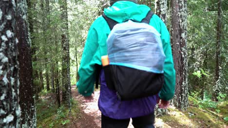 hikers in a forest trail