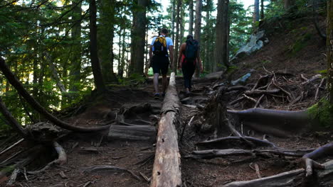 Hiker-couple-hiking-in-forest