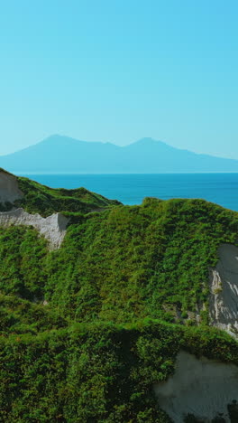 coastal hills and ocean view