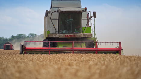 big combine working in the field. crop machine harvesting gold wheat.