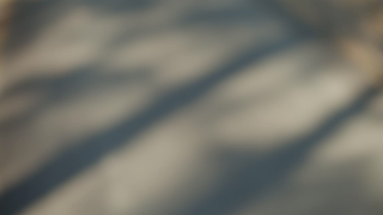 성공, 동작 보기로 이어지는 아스팔트 경로의 흐릿한 보기