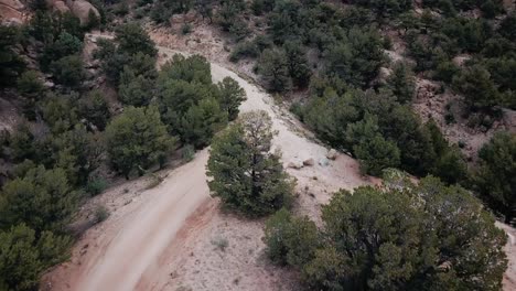 Montar-A-Caballo-En-Un-Sendero-De-Colorado-En-Un-Utv-De-Lado-A-Lado