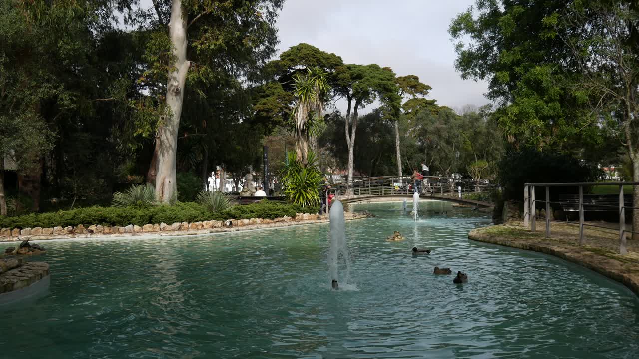 A pond in a public park in Portugal Europe on a sunny afternoon