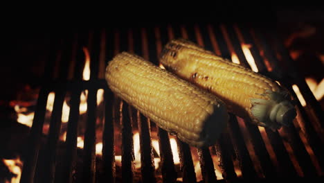 two cobs of delicious corn are grilled