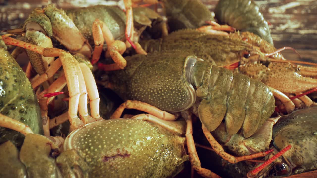 Premium stock video Live crayfish on a wooden table