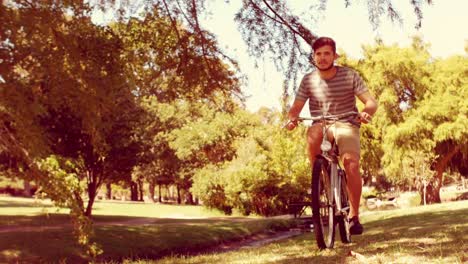 hombre guapo haciendo bicicleta en el parque