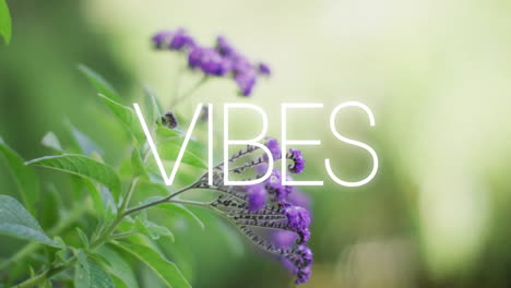 animación de vibraciones texto sobre flores púrpuras