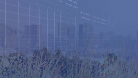 animation of financial data processing over grass and cityscape