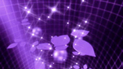 fondo de movimiento animado generado por computadora para la producción de películas de video web