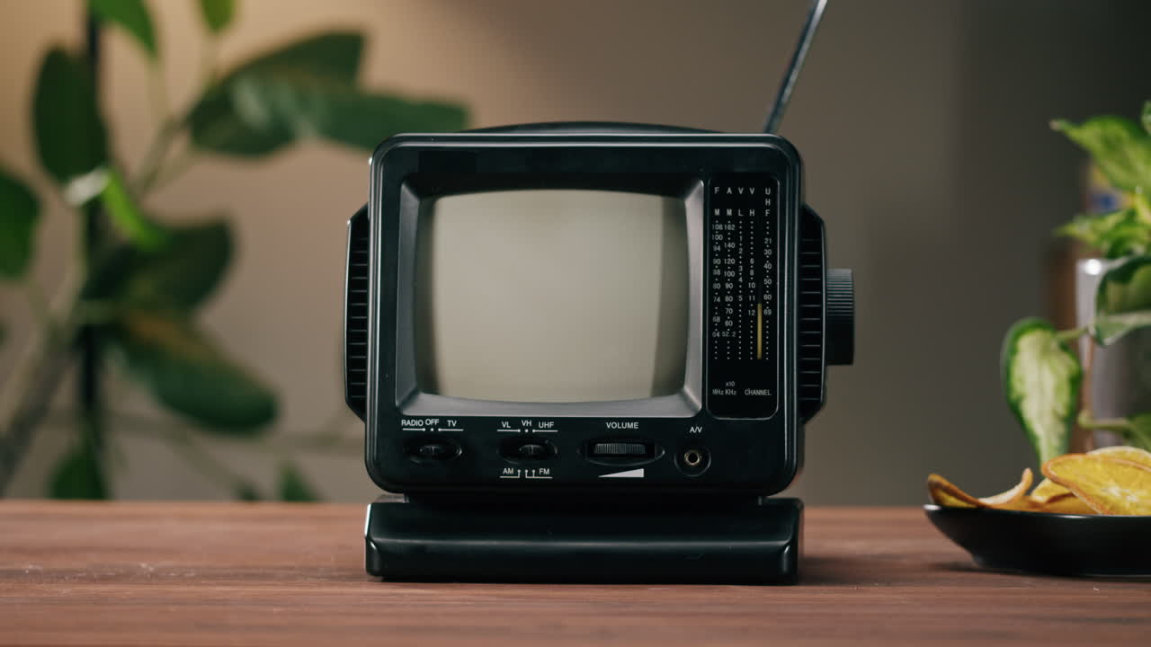 Retro Mini TV with Tea and Plant