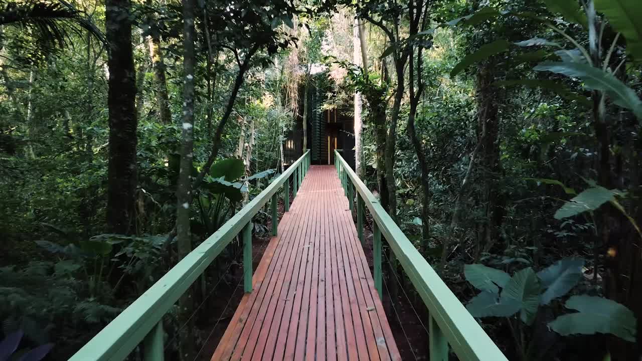 Amazing wide view of wooden bridge pathway in dense tropical rainforest in the middle of a jungle.
