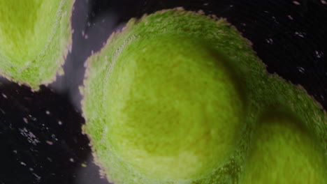 microscopic green cells in motion