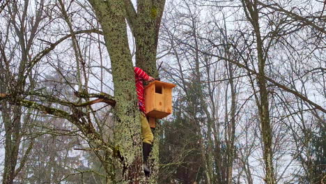 person attaching a bat house to a tree in the middle of a forest