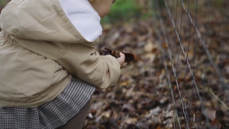 toddler girl playing with fallen leafs in autumn forest, throwing the leafs through the fence