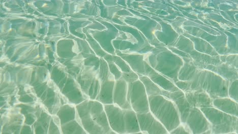 Clean-blue-flag-beaches-of-Halkidiki-Peninsula,-Greece