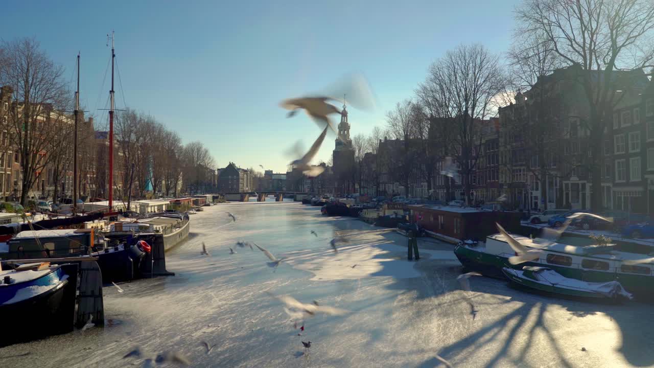 얼어붙은 운하와  ⁇  비둘기 비둘기가 네덜란드 암스테르담의 크롬 웨일 거리를 날아다니는 아름다운 겨울