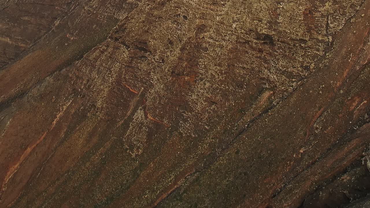 Close-up of Dark Volcanic Sand and Sparse Flora