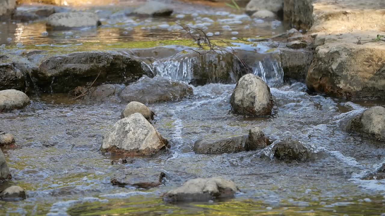 Clear Water Flowing Over Rocks in a Small Stream