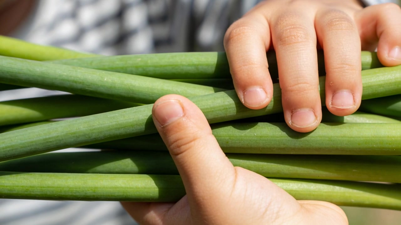 Reaching child hands cradling, examining and securing long green stalks at market, patterned shirt