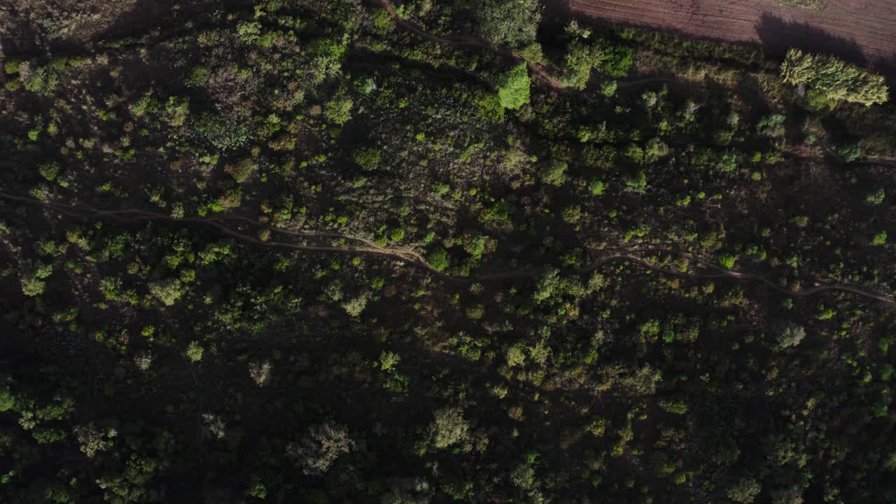 fotografía de un avión no tripulado de un paisaje empapado de sol con plantaciones, campos y árboles