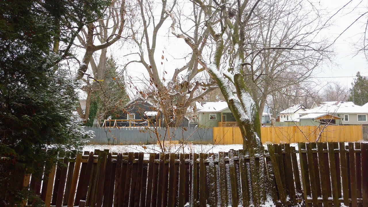 나무와 마당에 가운 눈이 쌓인 겨울의 뒷마당 장면, 평온한 야외 환경을 만들어내고, 정적 상태를 안정시니다.