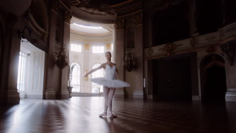 ballerina dancing in an ornate classical hall