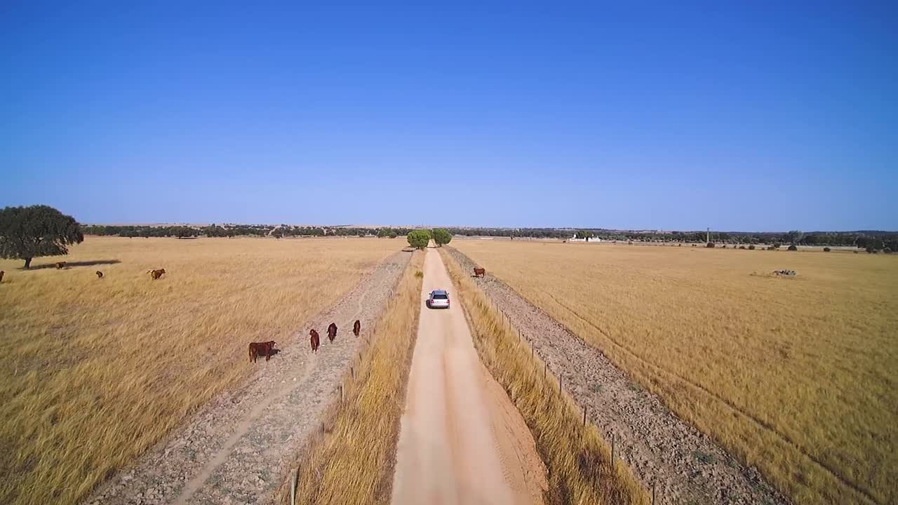 스페인 라만차의 먼지투성이 트랙을 달리는 은색 자동차의 드론 샷
