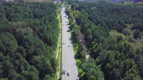 carretera a través de un bosque en un área urbana