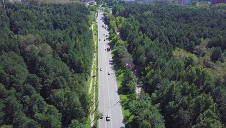 road through a forest in an urban area