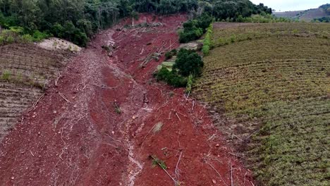 árboles-Arrancados-De-Raíz,-Impacto-Ambiental-Perjudicial,-Secuelas-De-Inundaciones