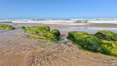 waves gently wash over moss-covered rocks