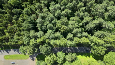 Vehículos-Que-Cruzan-Una-Estrecha-Carretera-Asfaltada-De-Dos-Carriles-Entre-Bosques-De-Pinos