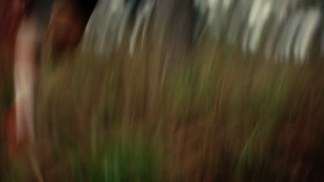 blurred person running in the forest