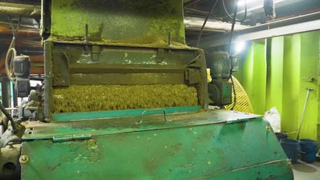 industrial machine working on flaking kernel palm oil into flaker at factory, malaysia