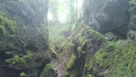 misty gorge with hikers