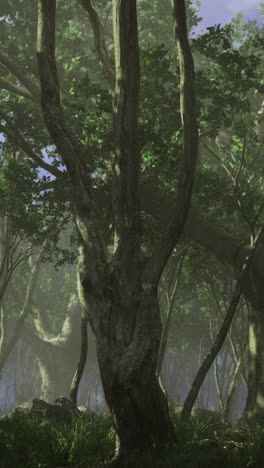 lush forest canopy revealing hidden beauty in tranquil morning light