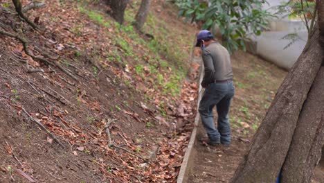 latin man cleaning garden. hispanic gardener