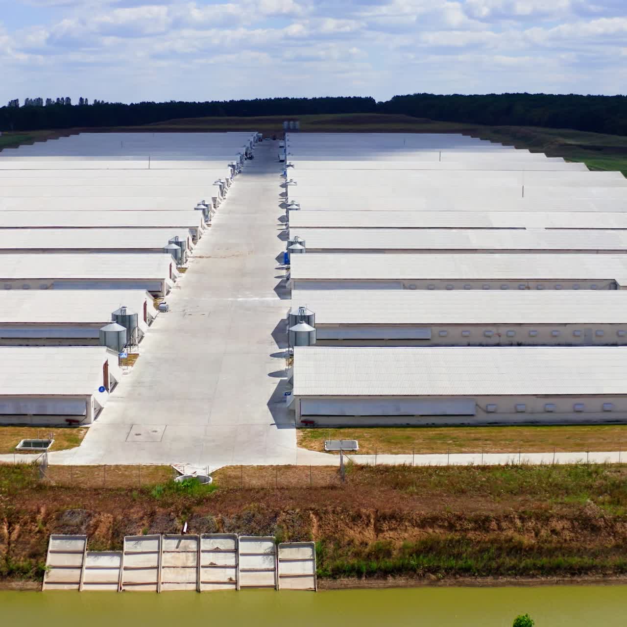 Contemporary farm complex in a sunny day. White barn houses on field on beautiful nature background. Aerial view