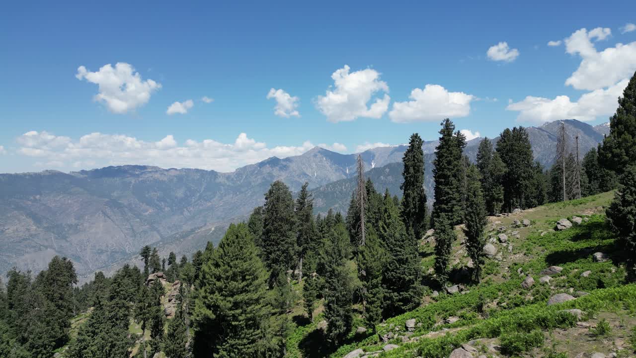 Pine Trees On The Hills Of Mountain In Sangar Valley On A Sunny Day In Kunar, Afghanistan. - aerial shot