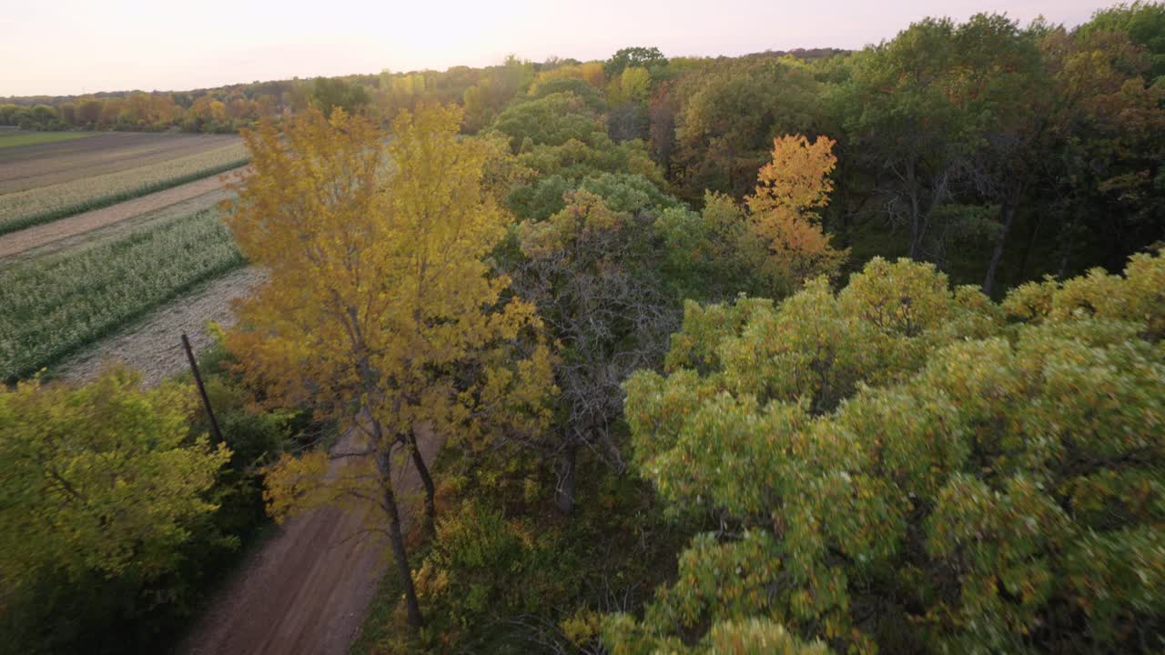 FPV drone flying over autumn trees during fall season