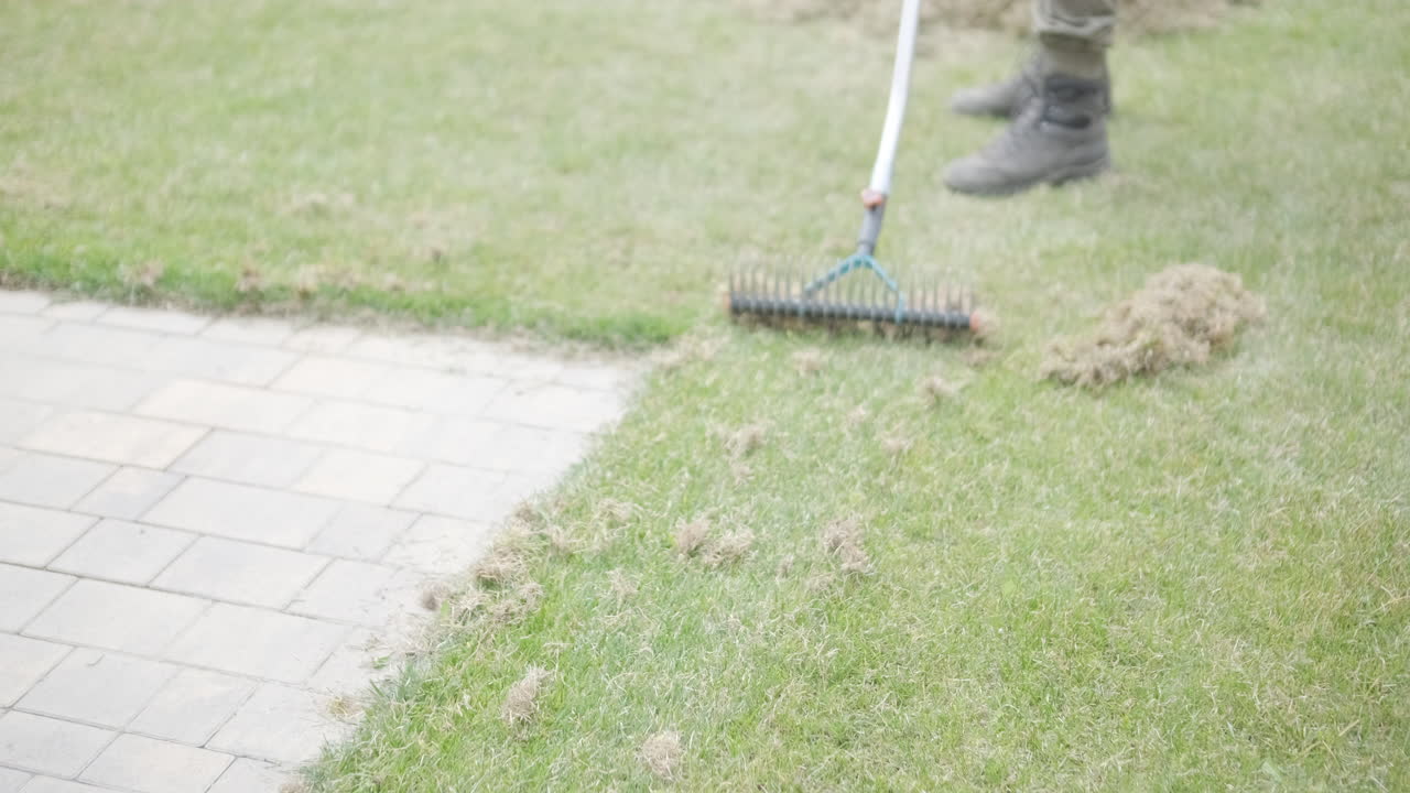 Gardener Raking Dry Grass from a Lawn