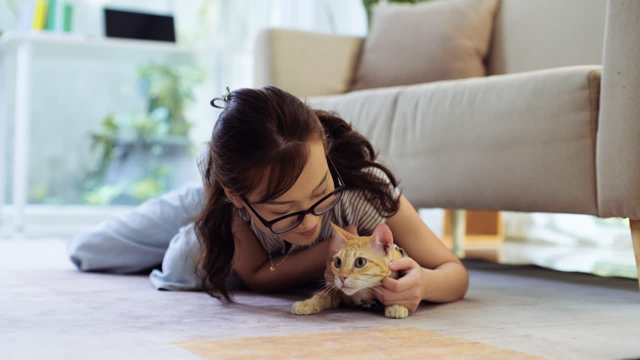 고양이를 쓰다듬는 여자
